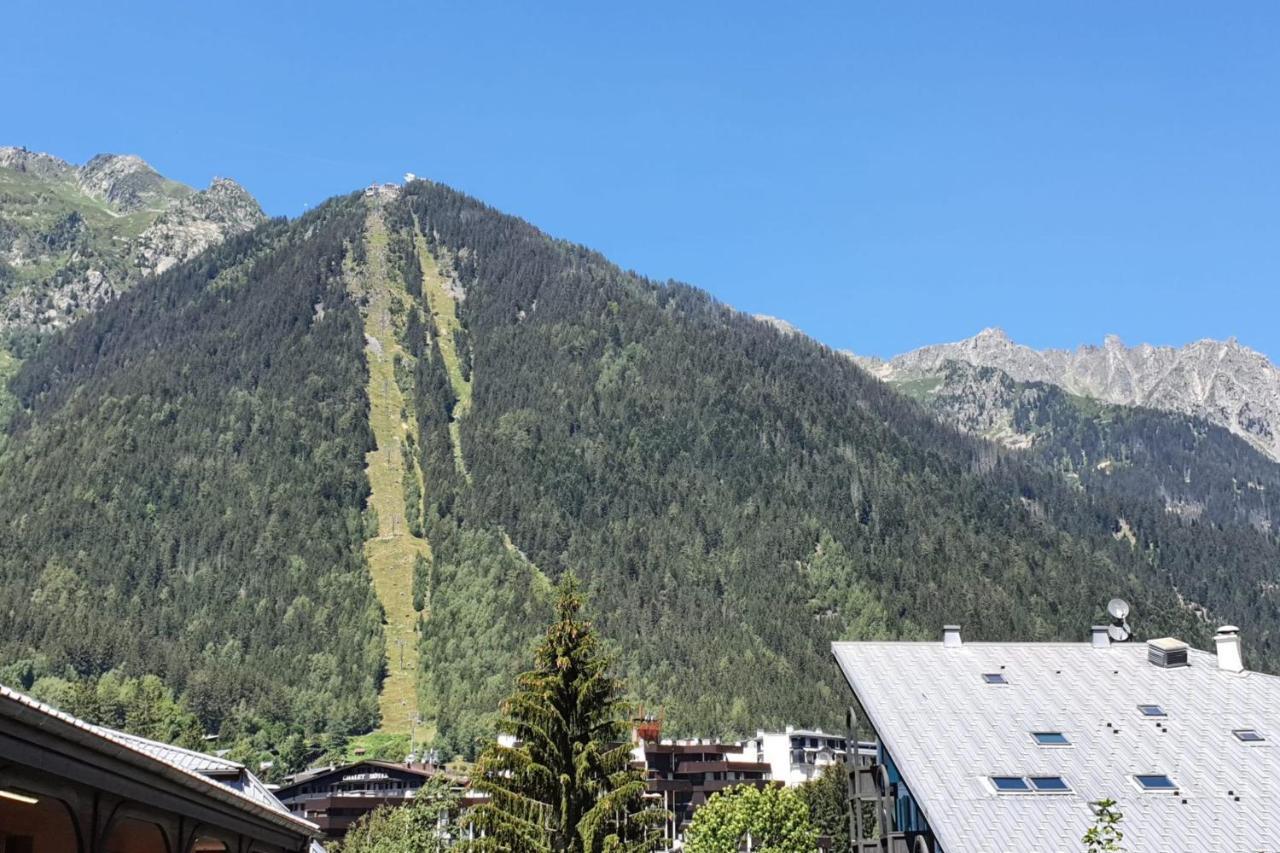 Nice 32M With Balcony View On The Mountain Chamonix Exterior foto